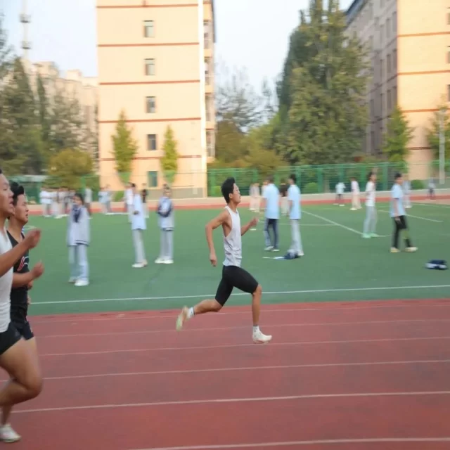 赛前观察:阵容变化如何影响赛事走势